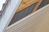 rated Thrupe soffit repair companies